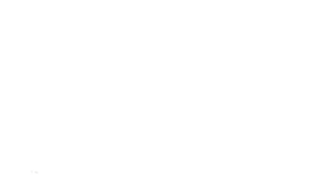 Riverdale Immigrant Women's Centre