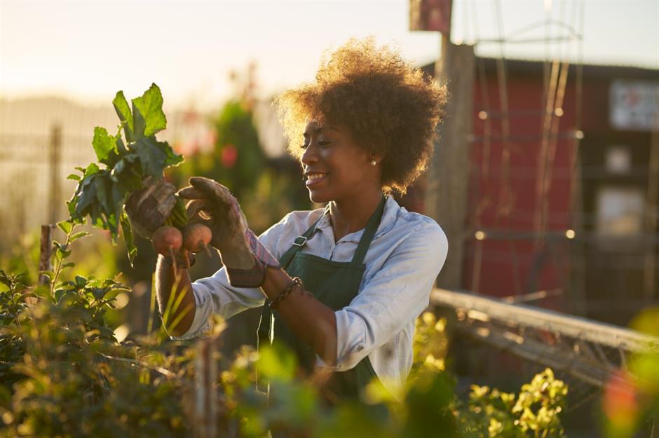 women in the garden, our projects